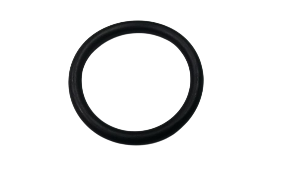 O RING PORTATERMOSTATO MOTOR ROCAM