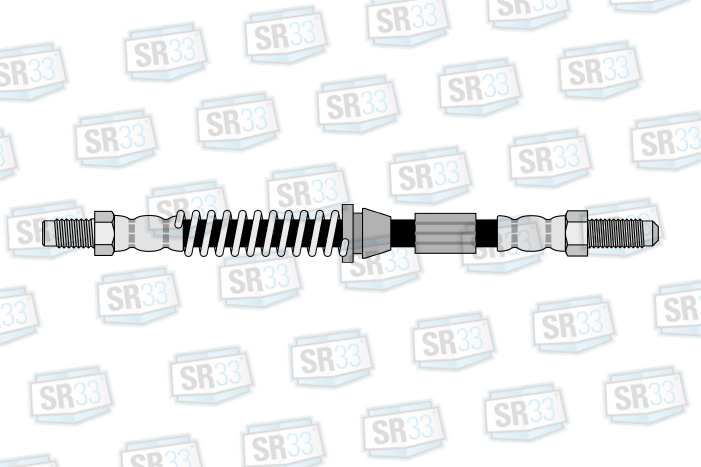 FLEXIBLE - RENAULT Clio